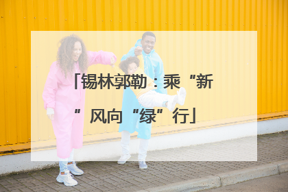 锡林郭勒：乘“新”风向“绿”行